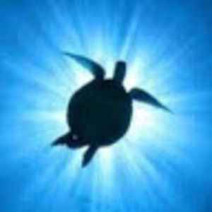 Meet your Posher, Micah